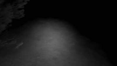 (beep sound) - Horror in the High Desert