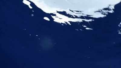 [beeps] - Deadliest Catch: Bloodline