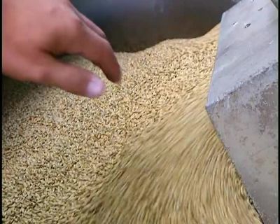 BEER IS A FERMENTED BEVERAGE
MADE WITH CEREALS AND WATER. - How It's Made