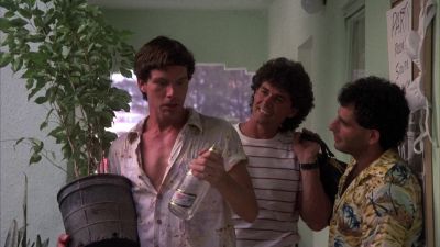 Beer is like - Spring Break