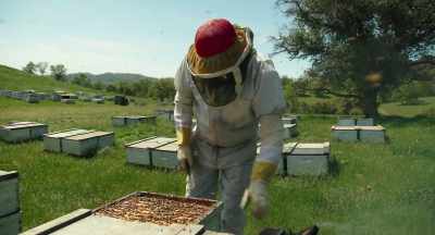 [ Bees buzzing ] - The Pollinators