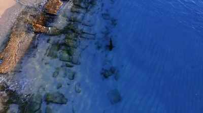 Before 2011, these apex
predators were rarely seen in - Shark Attack Files