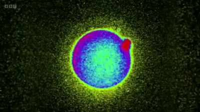 Before fertilization, - The Human Body: Secrets of Your Life Revealed