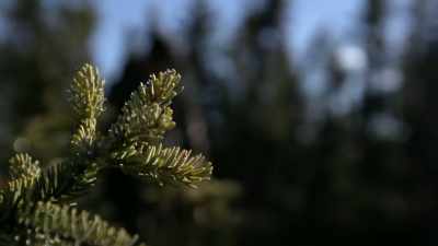 Before I left, I
studied a topographic map. - Life Below Zero: Next Generation
