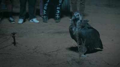Before he returns to hell, - Jackass Forever