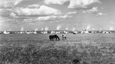 Before the Allotment Act,
some 150 million acres - The American Buffalo