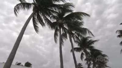 Before the hurricane,
we were trying to - Island of Bryan