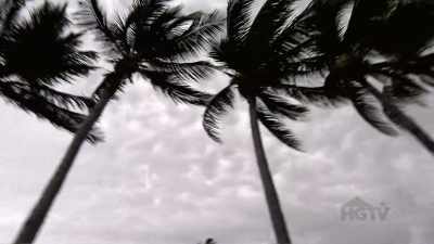 Before the hurricane, we
were trying to figure out - Island of Bryan