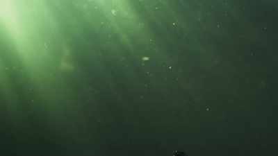 ...before the ice transforms
this coast once again. - Planet Earth III