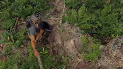 Before the LiDAR survey,
El Zotz was thought - Lost Treasures of the Maya
