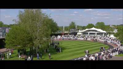 Before the race, - Horsepower