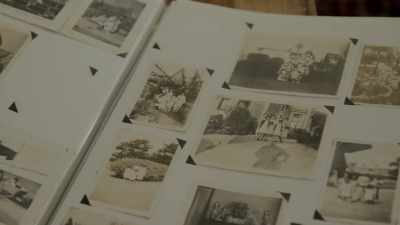 Before the war, the
Furuzawa brothers, - Trees and Other Entanglements