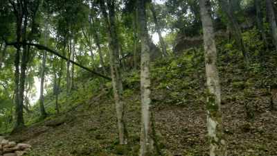 Before these amazing
royal discoveries, - Lost Treasures of the Maya