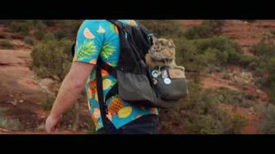 Before trucking we were
very big into hiking. - Cat Daddies