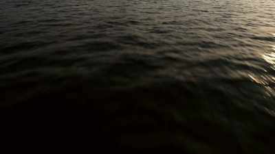 beginnings-long-ago - Origins: The Journey of Humankind