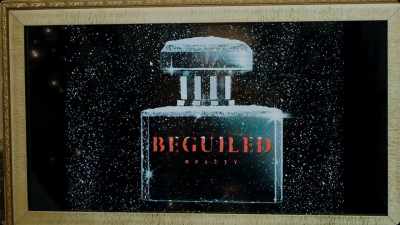 Beguiled Beauty,
irresistibly cool. - Much Ado About Christmas
