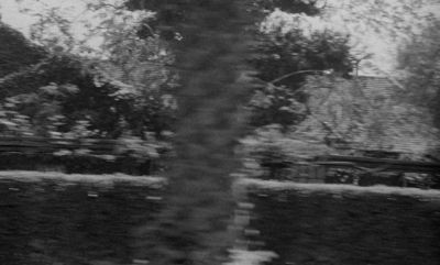 Behind that big hedge over there lives a little man - The Bigamist