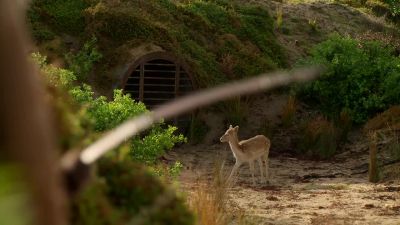 Behind that grate
is a passageway - La Brea