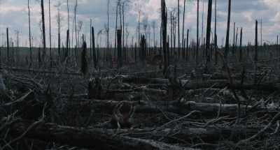 Behind it is the Sengeswiese,
an open field. - Afire