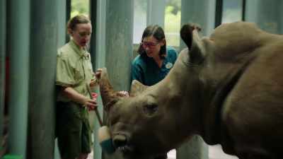Being a veterinarian is probably one of, - One Day at Disney