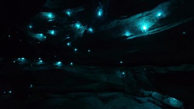 Being eaten alive... - Earth at Night in Color