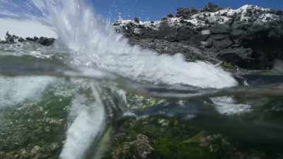 Being in the water, - Blue Planet II
