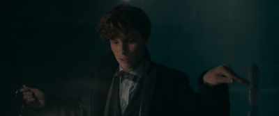 Being our survival. - Fantastic Beasts: The Secrets of Dumbledore