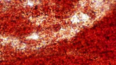 Being small and, therefore, - Secrets of Size: Atoms to Supergalaxies