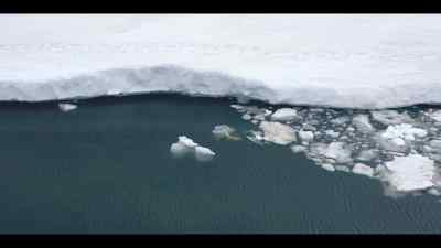 Being so small,
he's vulnerable to hypothermia, - Our Oceans