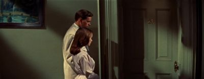 Being with you right now - The Cobweb