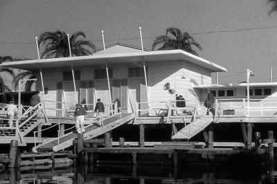 [Bell Ringing] - The Palm Beach Story