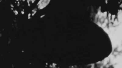 [bell tolling] - Little Richard: I Am Everything