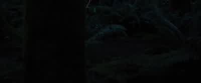 BELLA: I still hate surprises. - The Twilight Saga: Breaking Dawn   Part 2