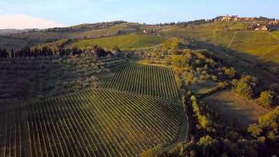  Bella Italia. - Very Valentine