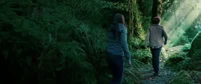 This is why we don't show ourselves in sunlight. - Twilight
