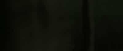 BELLATRIX:Hagrid! - Harry Potter and the Half Blood Prince