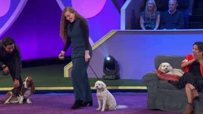Bellerina, our Best in Talking, - 2022 American Rescue Dog Show