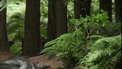[bellowing] - Prehistoric Planet