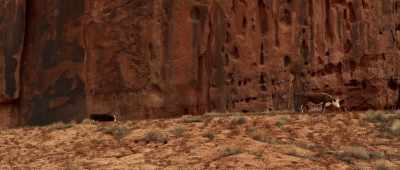 [bellowing] - Valley of the Gods