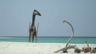 - [bellows, growls]
- At last. A female. - Prehistoric Planet