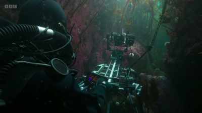 Below the kelp, Doug takes
his design a step further - - Wild Isles