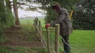 Ben! Listen, - A Very British Christmas