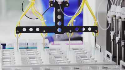 Ben Singularity Üniversitesi'ne
devam ederken, yüksek - AI Evolution