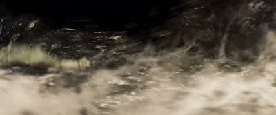 Ben, there's a current! - National Treasure: Book of Secrets
