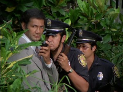 -BEN?
-YES, STEVE? - Hawaii Five-O