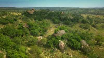 Beneath the baboons' rocky home,
Bakari is struggling. - Serengeti