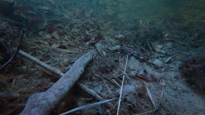 Beneath the ice, - Tiny World