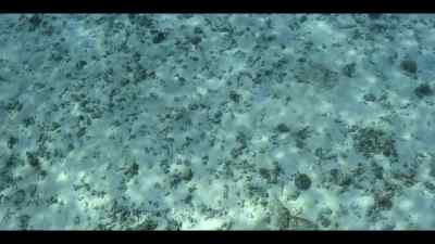 Beneath the shoals, - Our Oceans