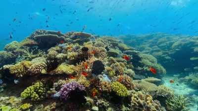 Beneath the surface, - Our Great National Parks