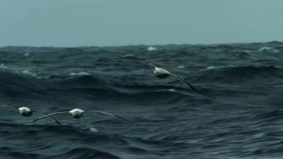 Beneath the waves, currents are flowing away from Antarctica, - Our Planet